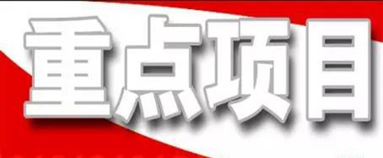 抓住项目不放松---王勤光到火博体育在线集团调研重点项目情况