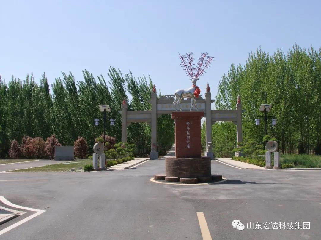 山东火博体育在线集团举办党史学习教育活动